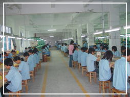 深圳電子產(chǎn)業(yè)中的榮華達電子廠 專業(yè)與創(chuàng)新的代表